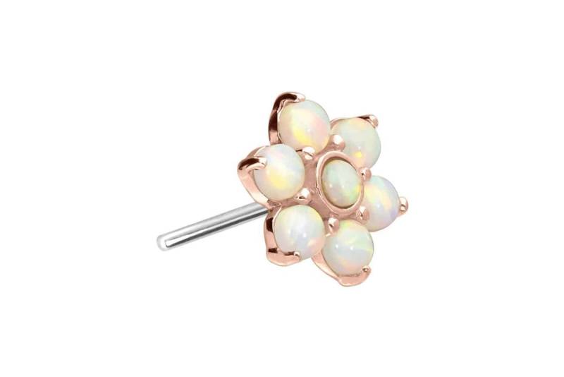 PIERCINGLINE Piercing-Set 14 Karat Gold Aufsatz mit Titan Push Pin BLUME + 7 SYNTHETISCHE OPALE (Push Pins / 1 Stk) von PIERCINGLINE