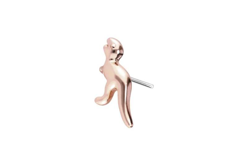 PIERCINGLINE Piercing-Set 14 Karat Gold Aufsatz mit Titan Push Pin DINOSAURIER (Push Pins / 1 Stk) von PIERCINGLINE