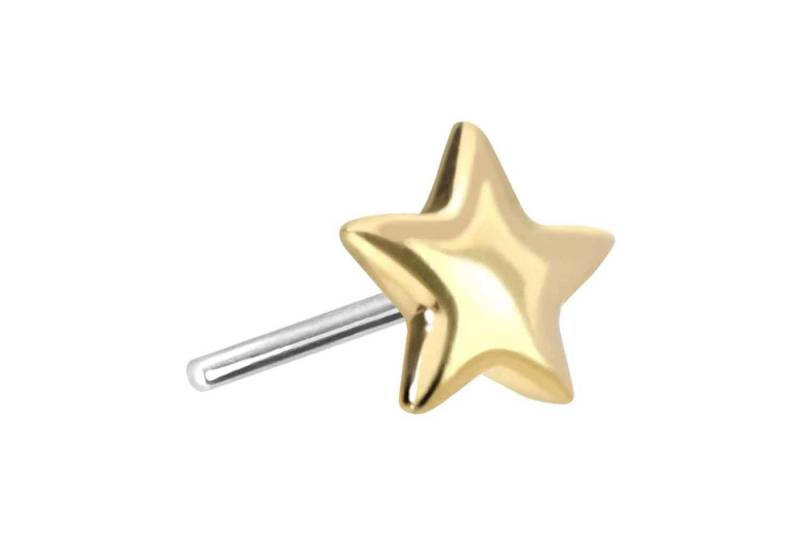PIERCINGLINE Piercing-Set 14 Karat Gold Aufsatz mit Titan Push Pin STERN (Push Pins / 1 Stk) von PIERCINGLINE
