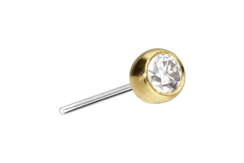 PIERCINGLINE Piercing-Set 14 Karat Gold Kugel mit Titan Push Pin MOISSANIT (Push Pins, 1-tlg) von PIERCINGLINE