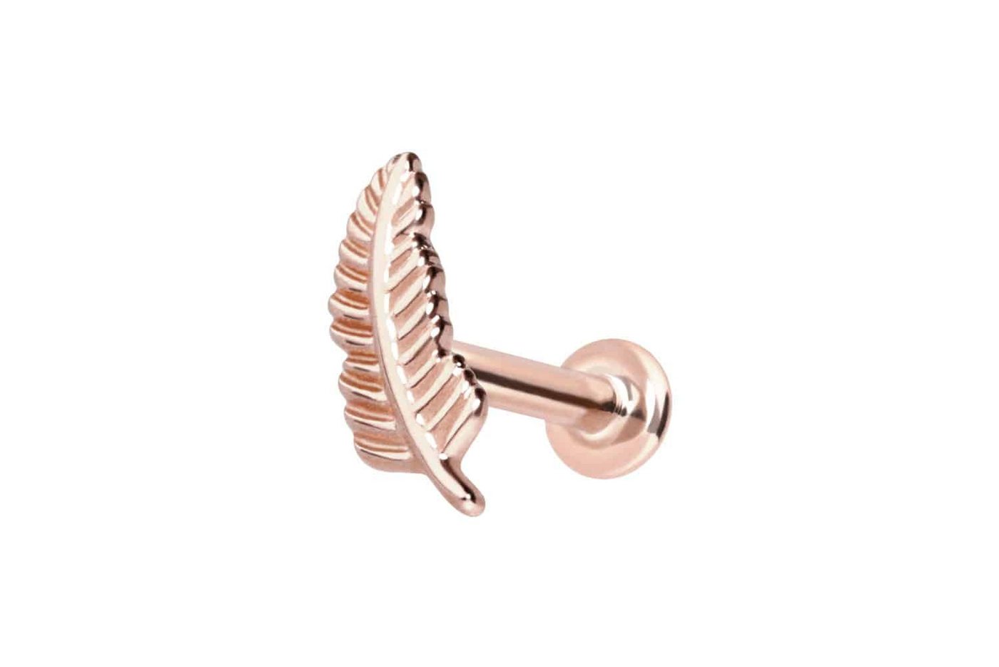 PIERCINGLINE Piercing-Set 14 Karat Gold Labret mit Innengewinde FEDER (Labrets, 1-tlg) von PIERCINGLINE