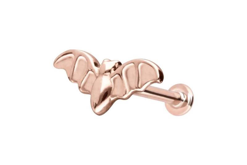 PIERCINGLINE Piercing-Set 14 Karat Gold Labret mit Innengewinde FLEDERMAUS (Labrets / 1 Stk) von PIERCINGLINE