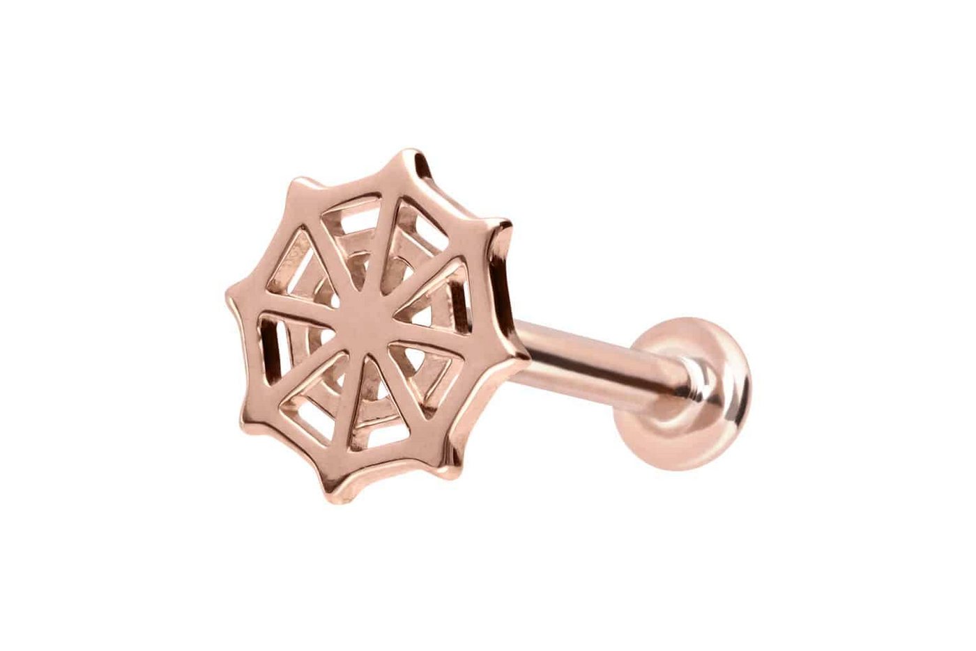 PIERCINGLINE Piercing-Set 14 Karat Gold Labret mit Innengewinde SPINNENNETZ (Labrets / 1 Stk) von PIERCINGLINE