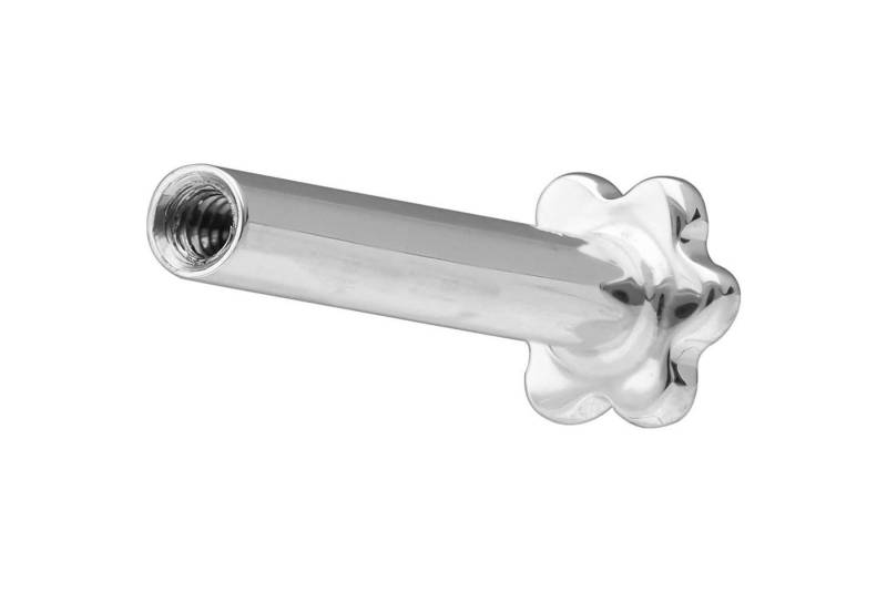 PIERCINGLINE Piercing-Set 14 Karat Gold Labret mit Innengewinde ohne Aufsatz BLUME (Labrets / 1 Stk) von PIERCINGLINE