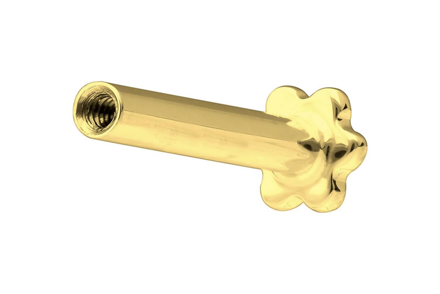 PIERCINGLINE Piercing-Set 14 Karat Gold Labret mit Innengewinde ohne Aufsatz BLUME (Labrets / 1 Stk) von PIERCINGLINE