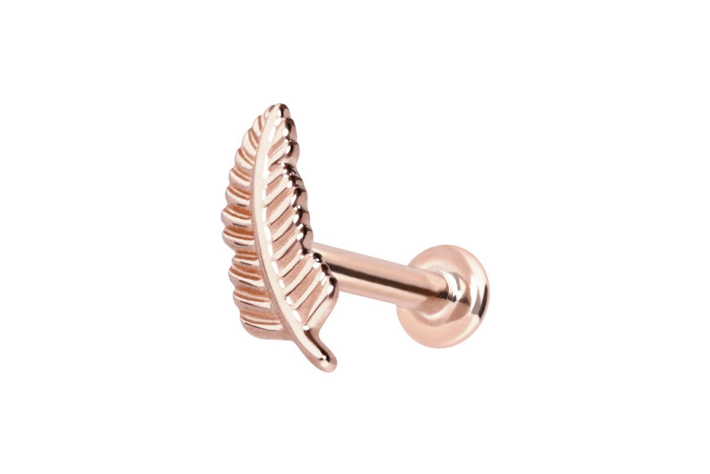 PIERCINGLINE Piercing-Set 14 Karat Gold Labret mit Push Fit FEDER (Labrets, 1-tlg) von PIERCINGLINE