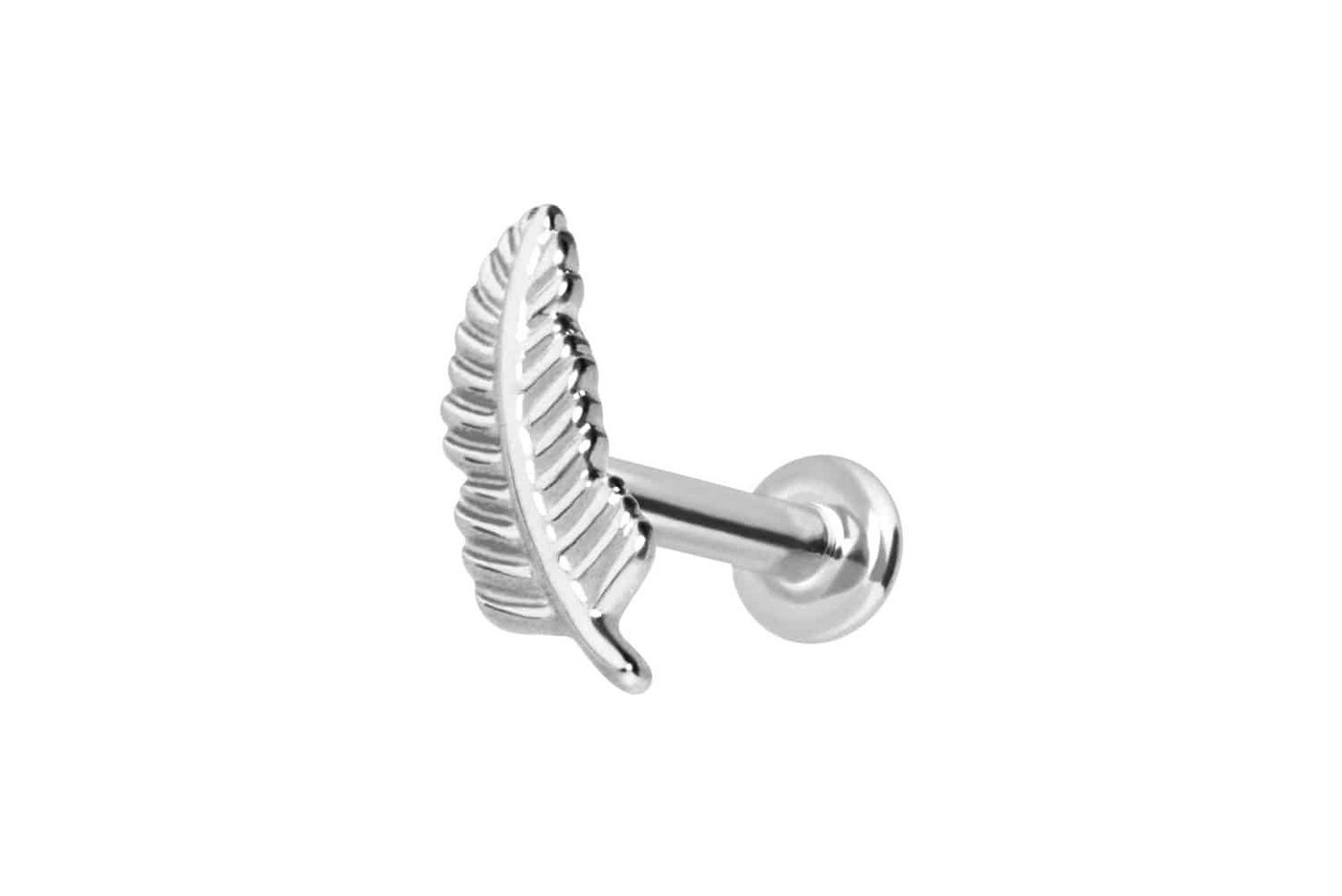 PIERCINGLINE Piercing-Set 14 Karat Gold Labret mit Push Fit FEDER (Labrets, 1-tlg) von PIERCINGLINE