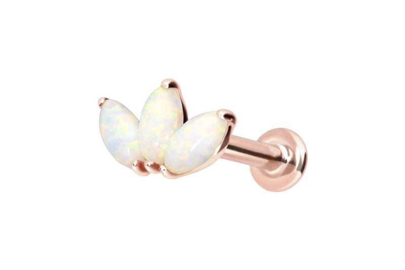 PIERCINGLINE Piercing-Set 14 Karat Gold Labret mit Push Fit LOTUSBLÜTE + SYNTHETISCHE OPALE (Labrets / 1 Stk) von PIERCINGLINE