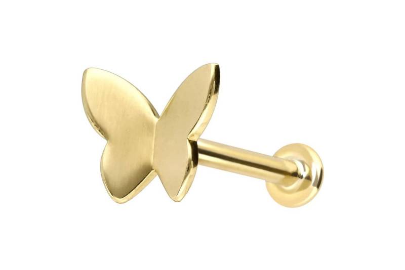 PIERCINGLINE Piercing-Set 14 Karat Gold Labret mit Push Fit SCHMETTERLING (Labrets / 1 Stk) von PIERCINGLINE