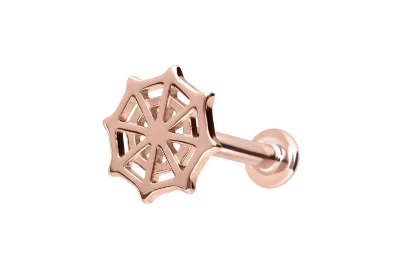 PIERCINGLINE Piercing-Set 14 Karat Gold Labret mit Push Fit SPINNENNETZ (Labrets / 1 Stk) von PIERCINGLINE