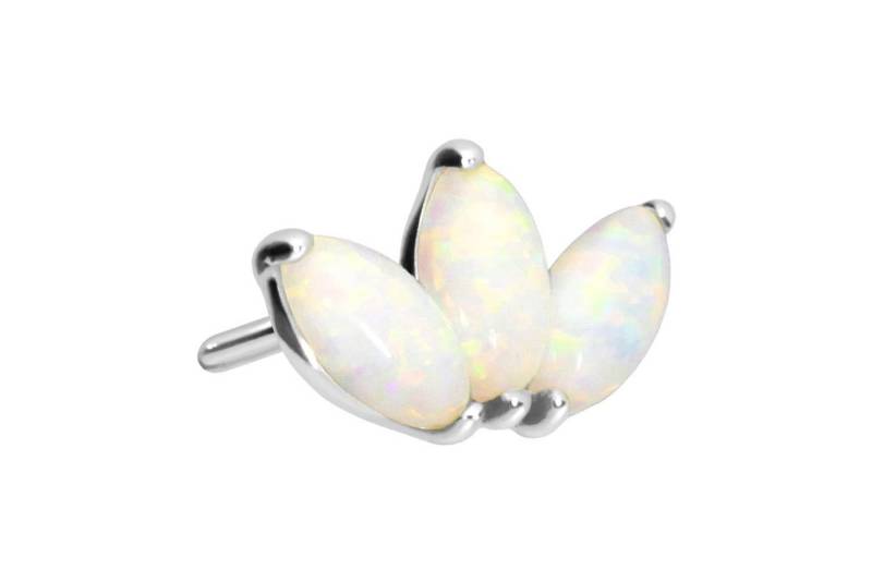 PIERCINGLINE Piercing-Set 14 Karat Gold Schraubaufsatz mit Außengewinde LOTUSBLÜTE + (Schraub-Aufsätze) von PIERCINGLINE