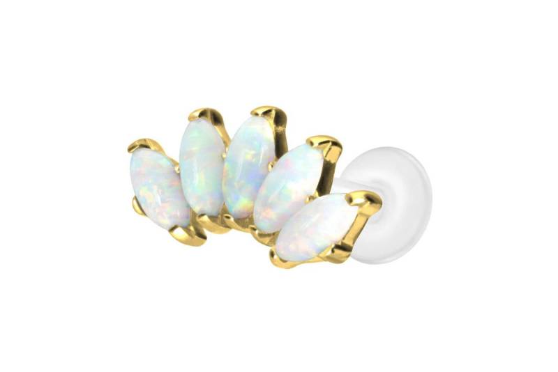 PIERCINGLINE Piercing-Set PTFE Labret mit Innengewinde + Titan-Aufsatz BOGEN + SYNTHETISCHE (Labrets, 1-tlg) von PIERCINGLINE