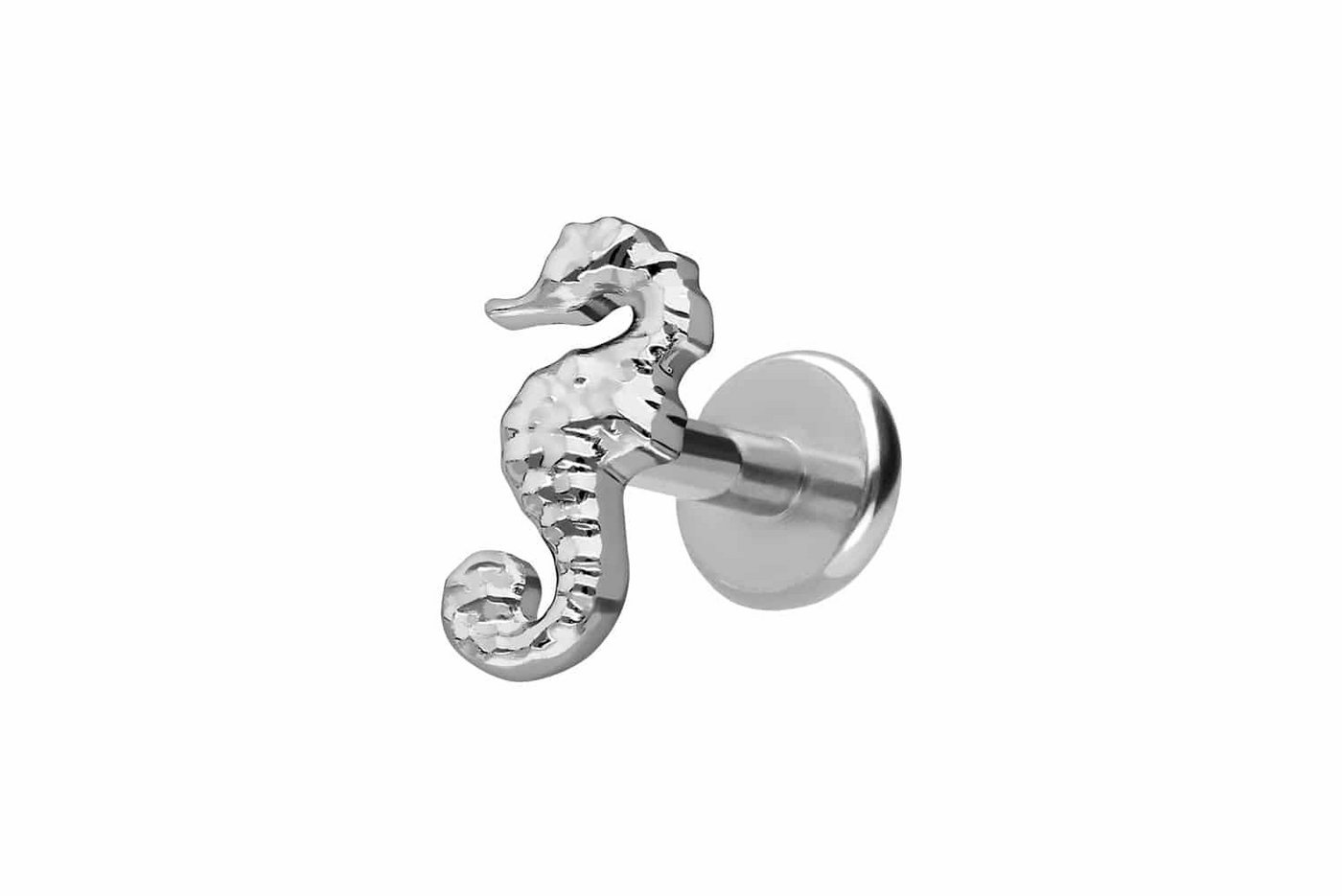 PIERCINGLINE Piercing-Set Titan Labret mit Push Fit SEEPFERDCHEN (Labrets, 1-tlg) von PIERCINGLINE