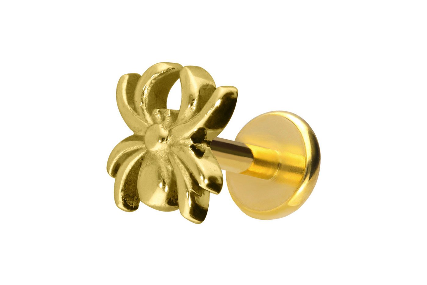 PIERCINGLINE Piercing-Set Titan Labret mit Push Fit SPINNE (Labrets, 1-tlg) von PIERCINGLINE
