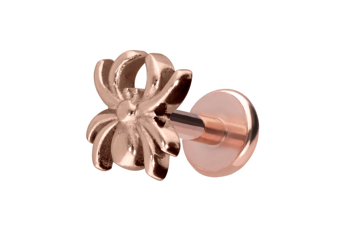 PIERCINGLINE Piercing-Set Titan Labret mit Push Fit SPINNE (Labrets, 1-tlg) von PIERCINGLINE