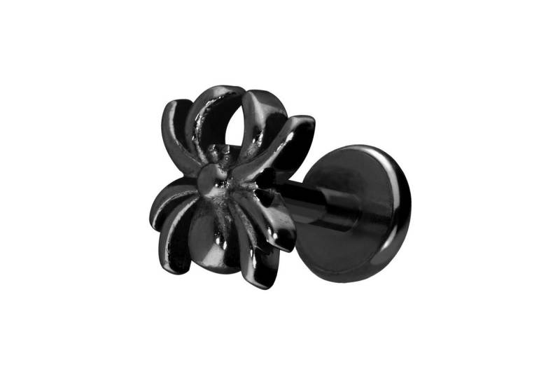 PIERCINGLINE Piercing-Set Titan Labret mit Push Fit SPINNE (Labrets, 1-tlg) von PIERCINGLINE