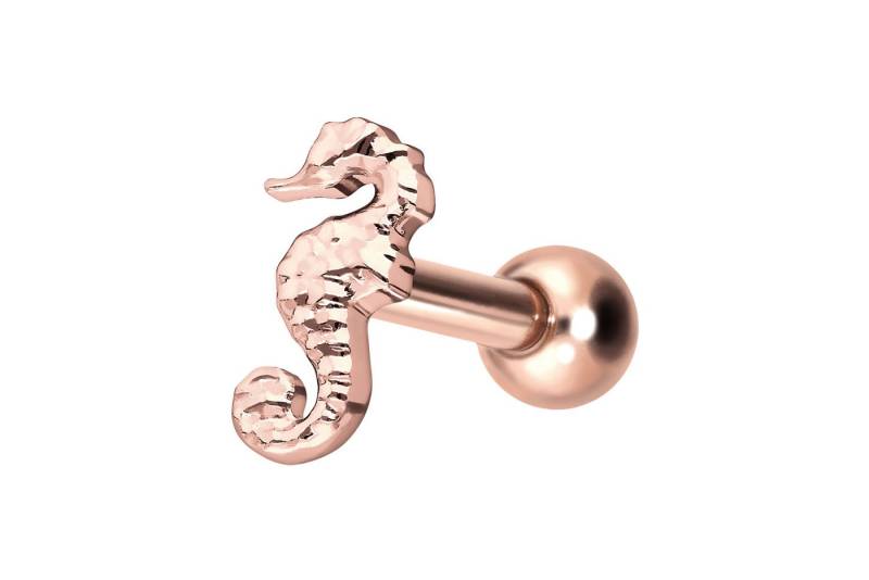 PIERCINGLINE Piercing-Set Titan Ohrpiercing mit Innengewinde SEEPFERDCHEN (Mini-Barbells, 1-tlg) von PIERCINGLINE