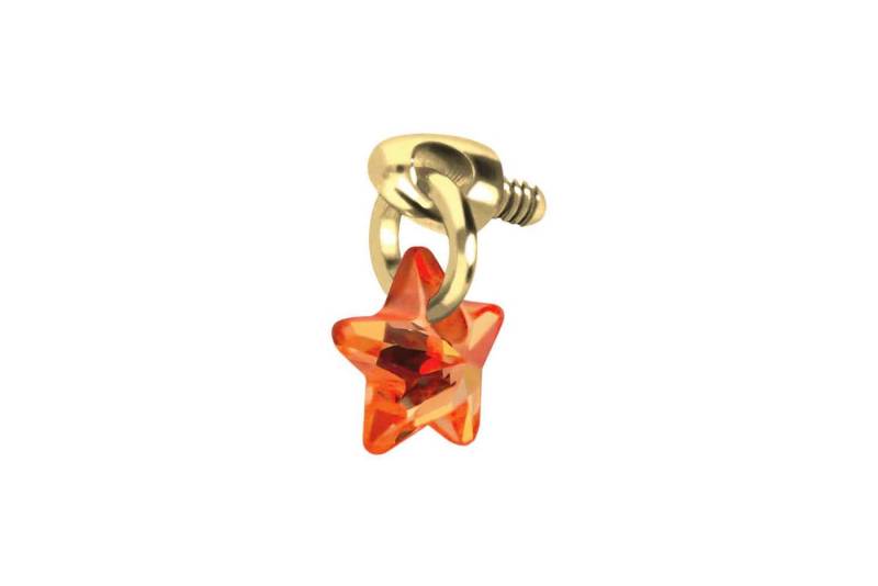 PIERCINGLINE Piercing-Set Titan Schraubaufsatz mit Außengewinde KRISTALLSTERN (Schraub-Aufsätze / 1 Stk) von PIERCINGLINE