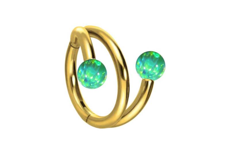 PIERCINGLINE Piercing-Set Titan Segmentring Clicker mit Innengewinde 3 RINGE + 2 SYNTHETISCHE (Clicker / 1 Stk) von PIERCINGLINE