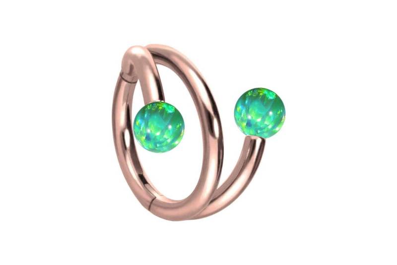 PIERCINGLINE Piercing-Set Titan Segmentring Clicker mit Innengewinde 3 RINGE + 2 SYNTHETISCHE (Clicker / 1 Stk) von PIERCINGLINE