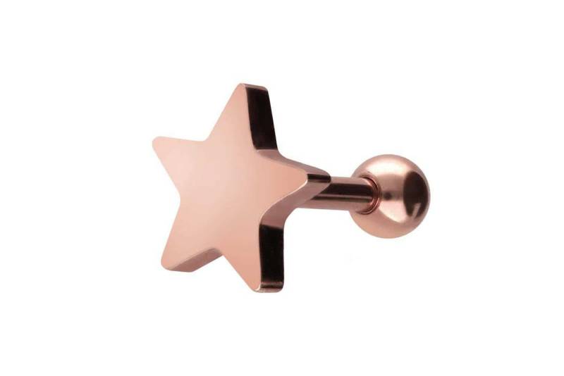 PIERCINGLINE Piercing-Set Chirurgenstahl Ohrpiercing STERN (Mini-Barbells, 1-tlg) von PIERCINGLINE