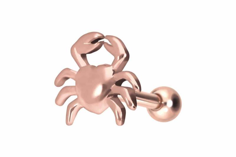 PIERCINGLINE Piercing-Set Titan Ohrpiercing KRABBE (Mini-Barbells, 1-tlg) von PIERCINGLINE