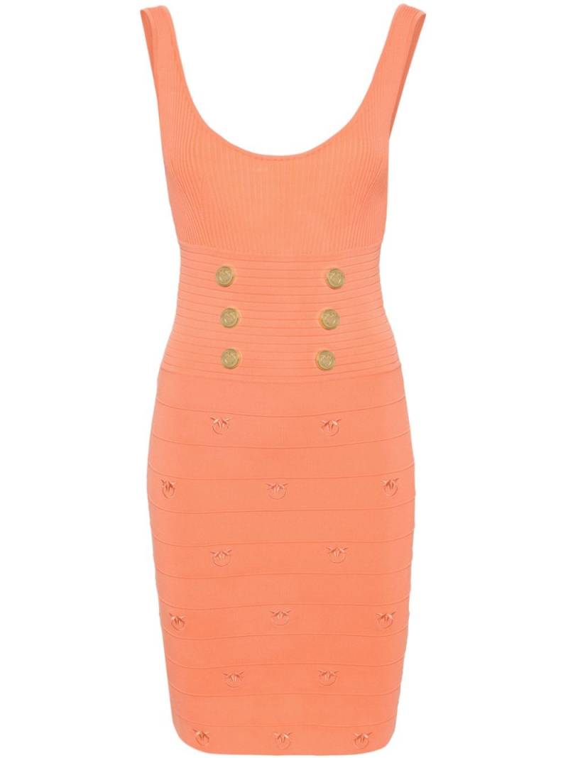 PINKO Geripptes Minikleid mit Love Birds-Stickerei - Orange von PINKO