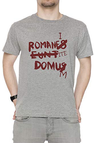 Romanes Eunt Domus Herren T-Shirt Rundhals Grau Kurzarm Größe XL Men's Grey T-Shirt X-Large Size XL von Erido