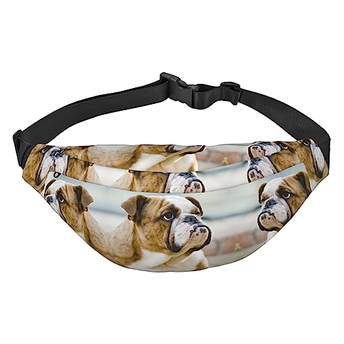 Baseball-Bauchtasche für Männer und Frauen, Crossbody-Taillentasche, große Umhängetasche, mit verstellbaren Gürteln, Lustige englische Bulldogge, Einheitsgröße von PIXOLE