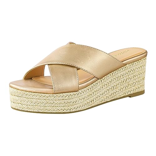 PIZZ ANNU Sandalen Damen Espadrilles Plateau Keilabsatz Frauen Keilsandalen Sandaletten Hausschuhe Pantoletten Elegant Sommer Schuhe Champagner EU 36 von PIZZ ANNU