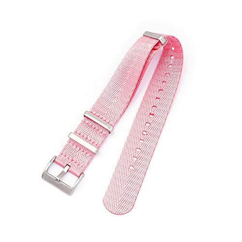 PLACKE 20 mm 22 mm 24 mm Sicherheitsgurt Nylon fit for NATO Gurt Military Watch Band Ersatzwächter for Omega fit for James Fit for Bond 007 fit (Color : Pink, Size : 20mm) von PLACKE