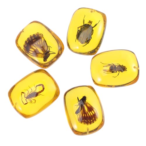 PLAFOPE 5 Stück Teiliges Bernsteinanhänger Natürlichen Insekten Handgefertigte Schmuck anhänger für DIY Schmuck Kreative Sammlung und Dekorative Accessoires Einzigartig und Detailreich von PLAFOPE
