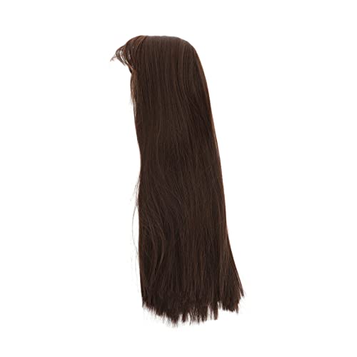 PLAFOPE Perücken Für Frauen 1pc Perücke Cosplay Perücke Damen Perücken Friseur Perücke Mädchen Gefälschte Haare von PLAFOPE