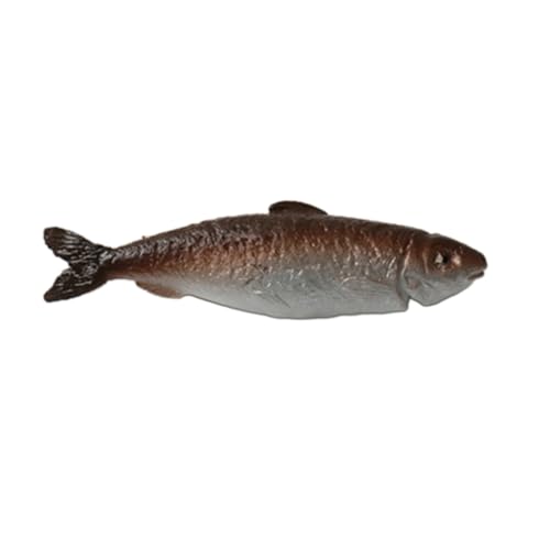 PLCPDM Einzigartige Haarspangen, Haarnadeln, getrockneter Fisch, Haarspange, Kopfbedeckung, simulierter Fisch, Schlüsselanhänger für Damen, Taschenanhänger PLCPDM Einzigartige Haarspangen, Haarnadeln, getrockneter Fisch, Haarspange, Kopfbedeckung, simulierter Fisch, Schlüsselanhänger für Damen, Taschenanhänger von PLCPDM