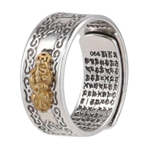 PLCPDM Vintage Herrenringe Coole Statement Ringe Shui Mit Form Bedeutungsvoller Glücksringe Für Erwachsene Dekore von PLCPDM