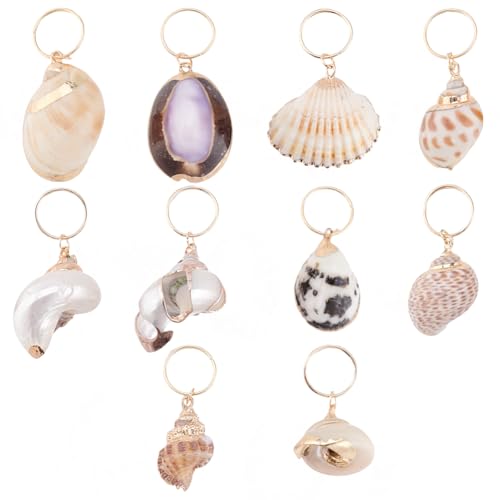 PLIGREAT 10 Stile Muschel Dreadlock Ringe Charms Bunte Muschel Zöpfe Haarschmuck Set DIY Locs Haarschmuck Strand Shell Anhänger Haaranhänger für Frauen Haar Zöpfe Pferdeschwanz Haarschmuck von PLIGREAT