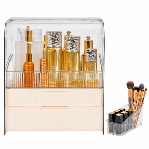 PLINJOY Große Make-up-Organizer-Aufbewahrungsbox mit Deckel, transparentes Acryl, staubdicht und wasserdicht, Make-up-Organizer, Arbeitsplatte von PLINJOY