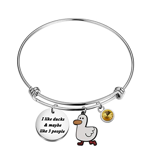 PLITI Lustiges Enten-Geschenk für Entenliebhaber, Geschenk für Entenbesitzer, Geschenk mit Aufschrift "I Like Ducks And Maybe Like 3 People", Haustier-Entenarmband für Frauen, M, Edelstahl, Zirkonia von PLITI