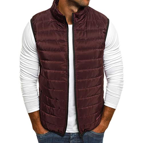 Plot Herren Steppweste Weste Einfarbig Outdoor Daunenweste Warm Winterweste Mit Stehkragen Männer Steppjacke Ärmellos Jacke Funktionsweste von PLOT-Herren Mantel