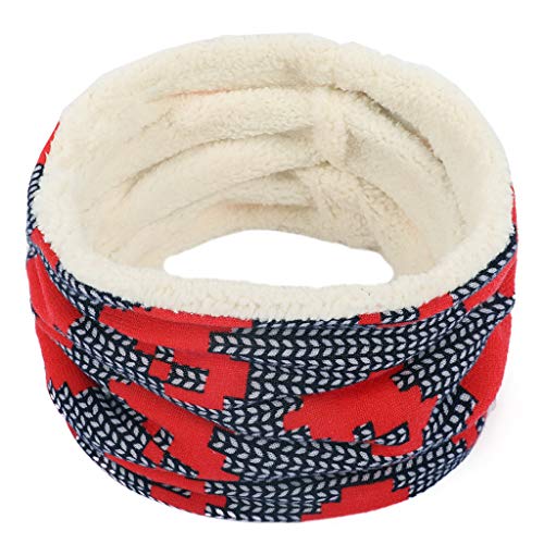 PLOT Winter Loop Schal Damen Schlauchschal Rundschal Herren Halstücher Winterschal Halstuch Mit Pelz Wolle Schals Warme Outdoor Motorrad Fahrrad für Damen von PLOT