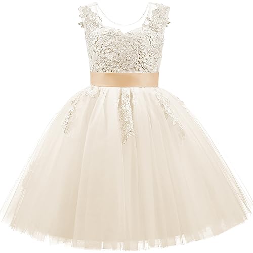 PLWEDDING Spitze V zurück Tüll Blumenmädchen Kleid Junior Mädchen Brautjungfer Hochzeit Partykleider(10,Champagner) von PLWEDDING