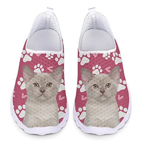 POLERO Slip-On-Schuhe für Frauen, niedliche Katze Walking-Schuhe für Freizeit, Arbeit Flache Mesh-Schuhe, leichte Wasserschuhe, EU39 von POLERO