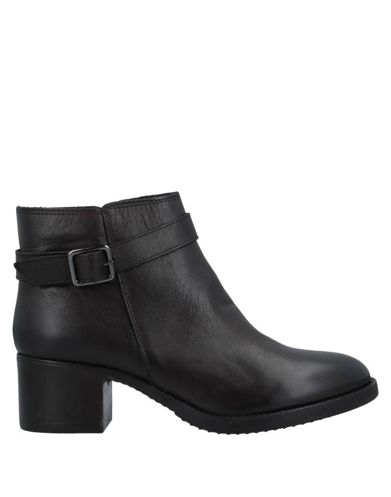 POLLINI Stiefelette Damen Dunkelbraun von POLLINI