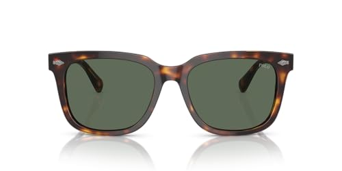 POLO Herren 0ph4210 Sonnenbrille, Mehrfarbig (Mehrfarbig) von POLO