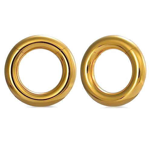 PONWAG 1 Paar nahtlose Ohrgewichte Hoop Gauge für gedehnte Ohren Dangle Gauge Hanger 0g Plug Tunnles für Ohr Frauen Body Piercing Schmuck von PONWAG