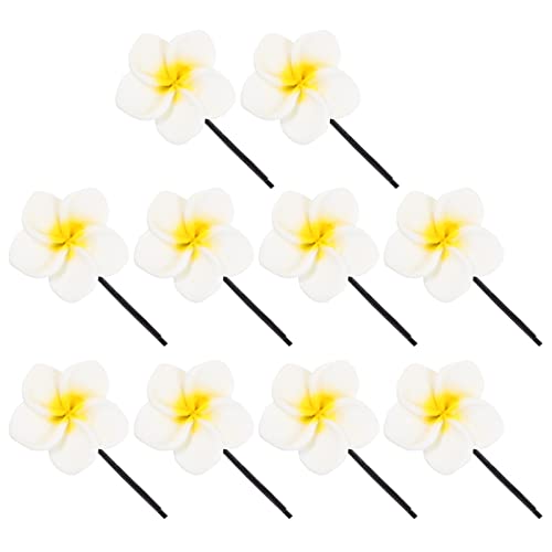 POPETPOP Haarschmuck 10st Haarnadel Hawaii Plumeria Haarspange Diademe Für Mädchen Hawaiianische Haaraccessoires Alligator Haarspangen Blumenmädchen Harz Weiß Fräulein Künstliche von POPETPOP