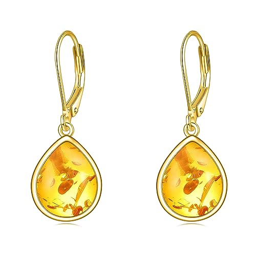 POPLYKE Bernstein-Ohrringe für Frauen Sterling Silber Leverback Ohrringe Bernstein Schmuck Geschenk für Mädchen (Amber) von POPLYKE