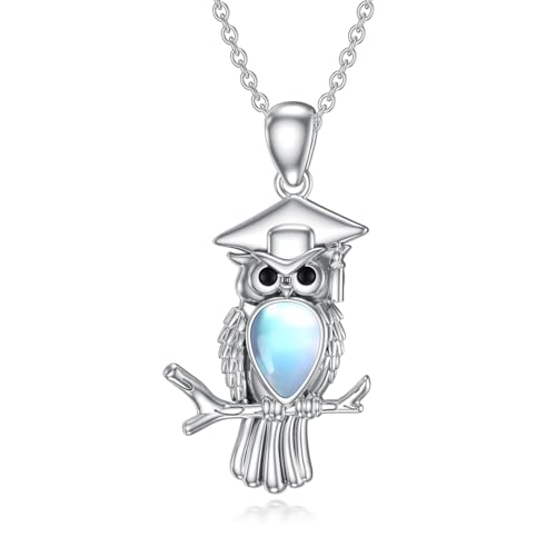 POPLYKE Eule Halskette Sterling Silber Mondstein Halskette Graduierung Insprational Halskette Freundschaft Graduierung Geschenk für Frauen Männer (Eule) von POPLYKE