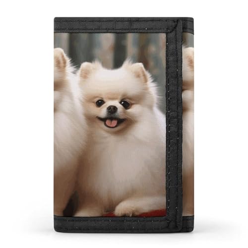POTSCBVW Kurzhaarige Zwergspitz-Hundegeldbörse, kompakt, dreifach gefaltet, mit Schlüsselanhänger, leicht und langlebig, für draußen, Stil, Einheitsgröße, klassisch von POTSCBVW