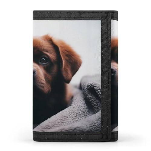 POTSCBVW Niedliche Hundegeldbörse, kompakt, dreifach gefaltet, mit Schlüsselanhänger, leicht und langlebig, für draußen, Stil, Einheitsgröße, klassisch von POTSCBVW